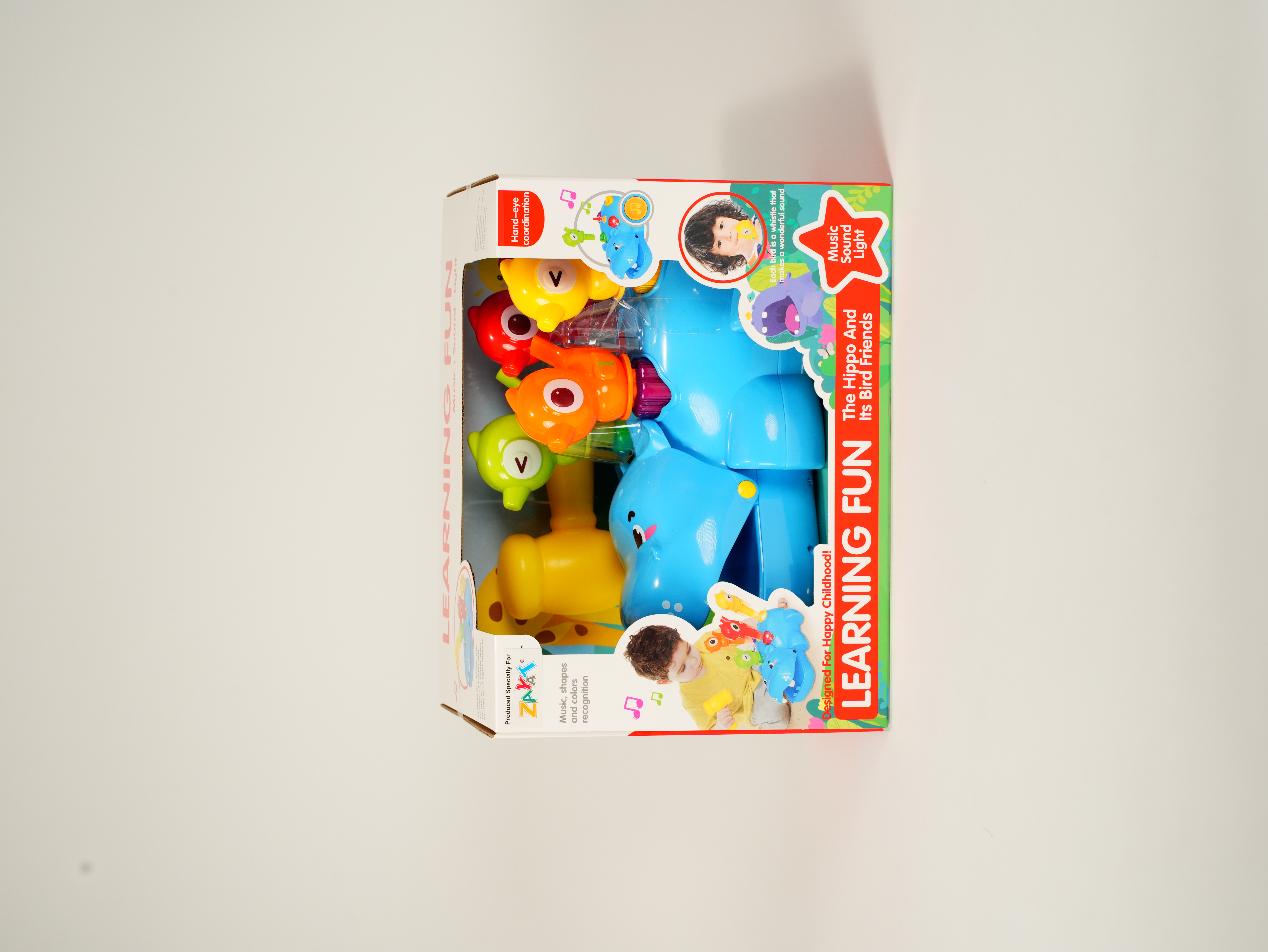 The Hippo And Its Bird Friends